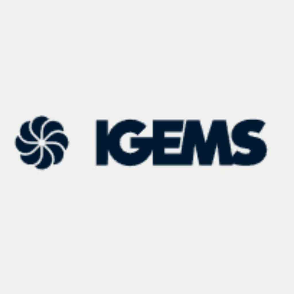 WinWin & IGEMS Joint Solution: 5-axis 3D Simulation Bevel Cutting Technology
