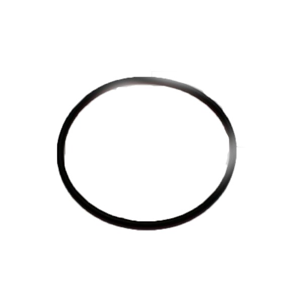 034858/220 O ring backup ring 