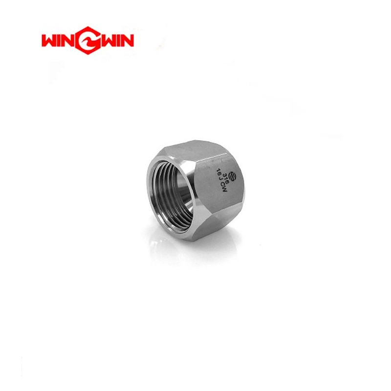 05069976 Cap, JIC Swivel, .75