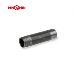 10125359 Pipe Nipple, .13 x 2.0